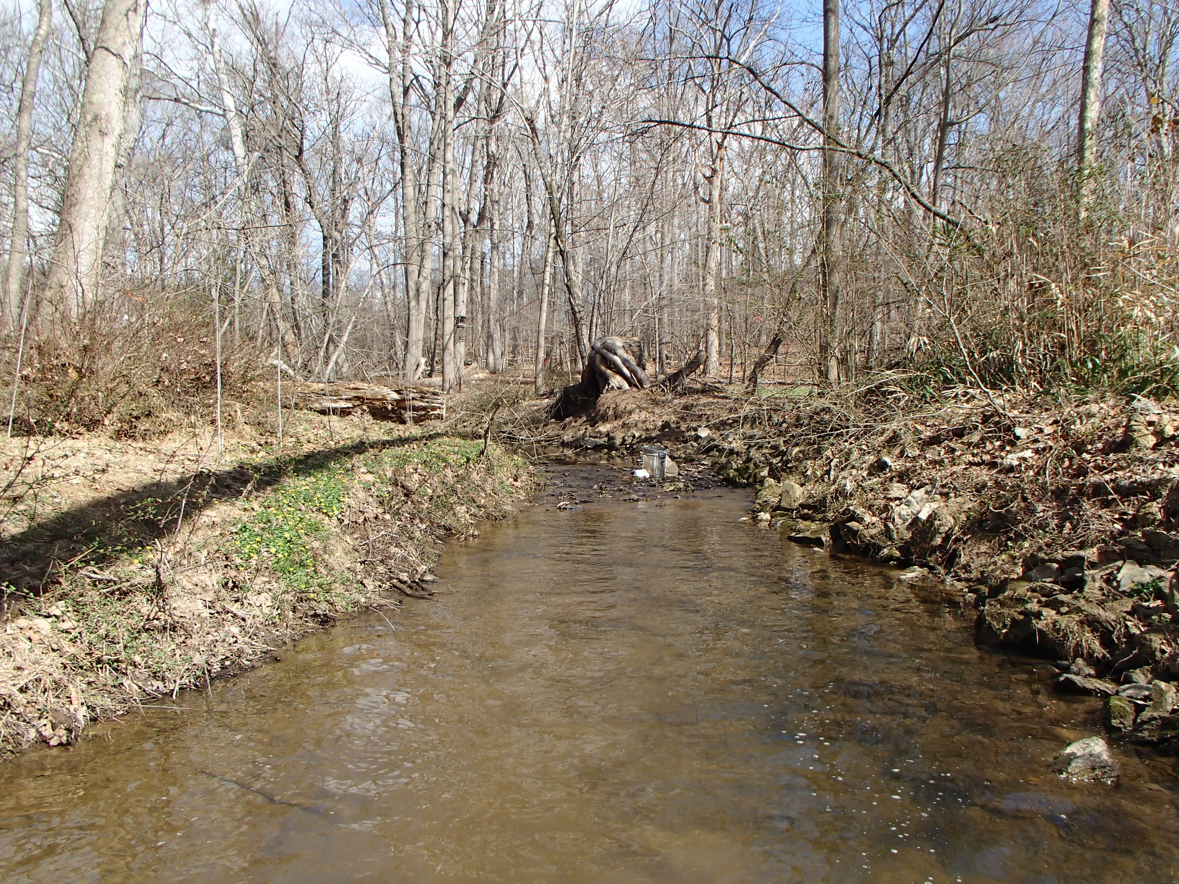 Field photo showing stream conditions at site PRMO-206-X-2016_Midpoint looking downstream